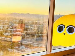 -拉斯维加斯永利酒店