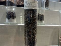 -广东中医药博物馆