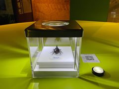 -香港科学馆