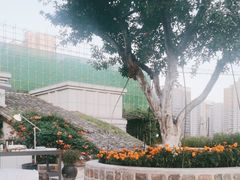 -瓦库茶馆17号(海汇港店)