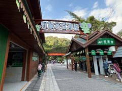 -野象谷景区