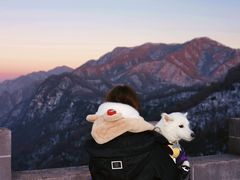 -嘉陵江源头景区
