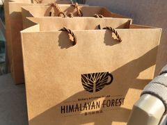 -喜马拉雅森HIMALAYAN FOREST