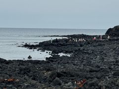 -涉地可支