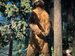 -陕西自然博物馆