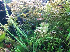 -上海海洋水族馆