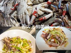 -渔娘渔家丹东海鲜(东直门店)