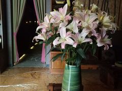 -心足私家足疗SPA(海岸城店)