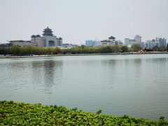 -莲花池公园