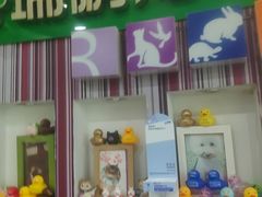 -瑞鹏·疫苗·绝育·宠物医院(金沙洲店)