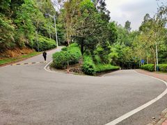 -火炉山森林公园