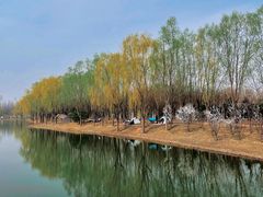 -东郊湿地公园