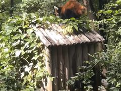 -昆明动物园