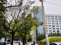 -元大都城垣遗址公园