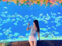-合肥海洋世界