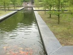 -泰州凤城河风景区-泰山公园