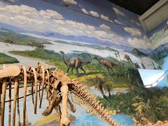 -自贡恐龙博物馆