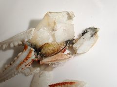 -小榄公饭店·岭南庭院餐厅(民安北路店)