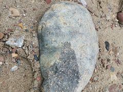 -重庆市江北嘴中央商务区中央公园