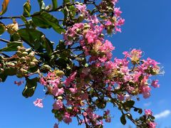 -昆山城市生态森林公园