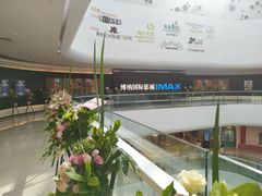 -博纳国际影城成都大悦城IMAX店