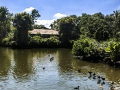 -海南热带野生动植物园