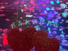 -秦皇岛新澳海底世界