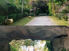 -三亚湾海居铂尔曼度假酒店