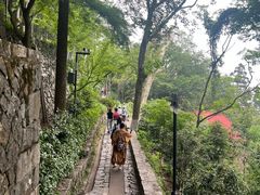 -莫干山风景区