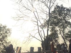 -灵岩山风景区