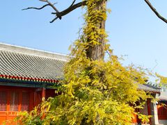 -承恩寺