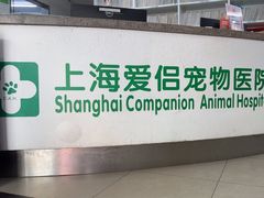 -爱侣宠医·鹦鹉专科·小型哺乳类·异宠专科(灵石路店)