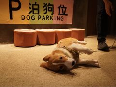 -乌村