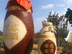 -金卉庄园