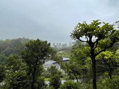 -广州莲花山旅游区