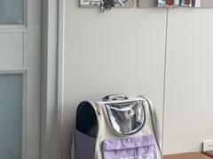 -芭比堂动物医院·CT·微创中心(新顺分院)