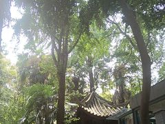 -大妙火锅·非物质文化遗产(东湖公园店)