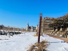 -北京张裕爱斐堡酒庄