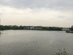 -上海长兴岛郊野公园