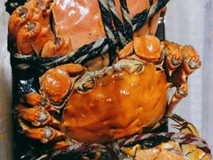 -阿金大白·上海菜馆(新天地店)