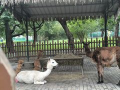 -西安秦岭野生动物园