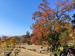 -塔川景区