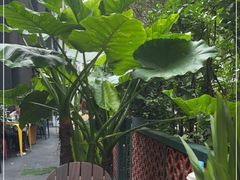 -BOCATA 西班牙餐厅(三里屯店)