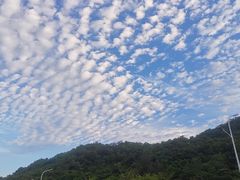 -钱大妈海鲜饭店(保利林语店)