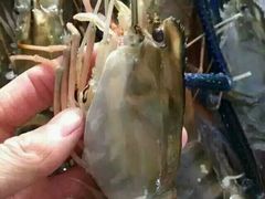 -宽巷子成都火锅(南站店)