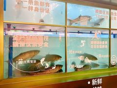 -得意咚瓜·顺德鱼生·冬瓜盅火锅