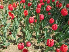 -长春公园(普阳街道)