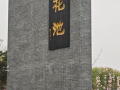 -莲花池公园