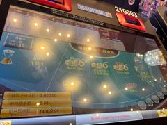 -澳门威尼斯人综合度假区
