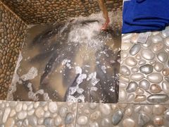 -蜀留香石锅鱼(六顺街店)